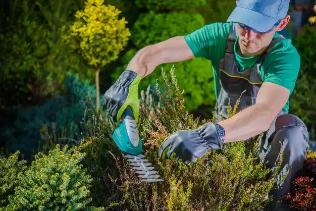 landscaping services La Croft